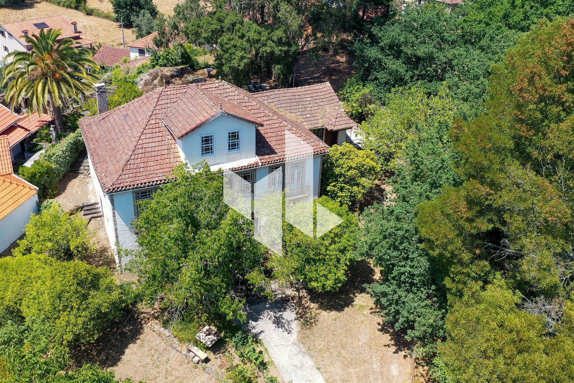 Quinta T6+3